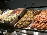 Cossiga LSBM6 Heated Linear Well